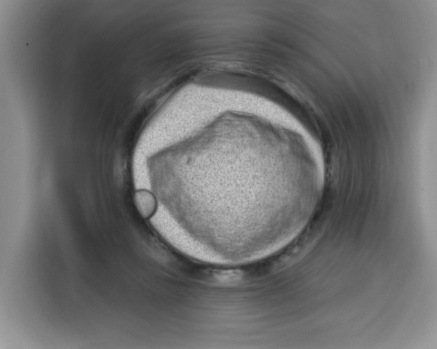 X0000115160355200911241553