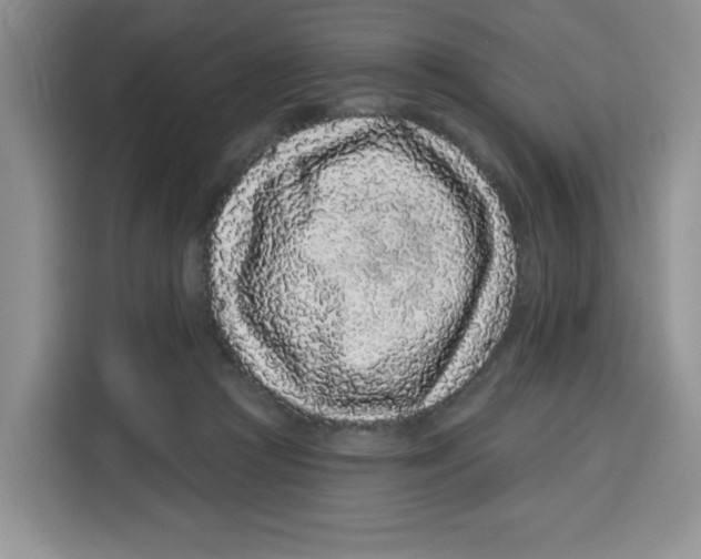 X0000115160361200911241553