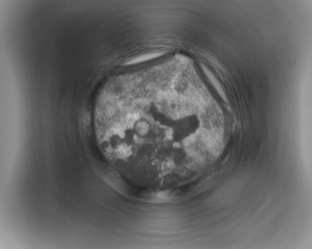 X0000115160365200911241553