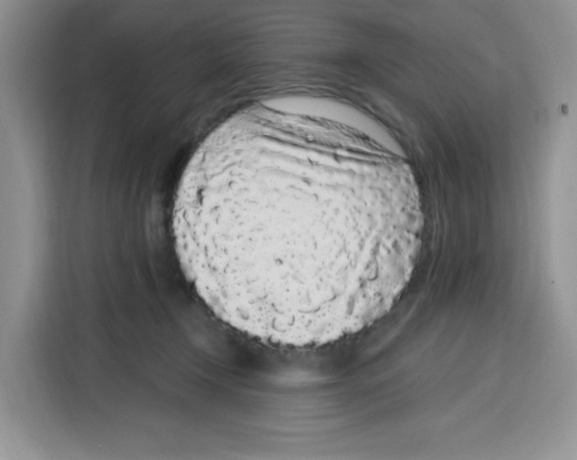 X0000115160366200911241554