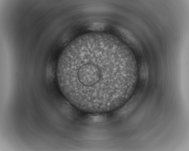 X0000115160370200911241554