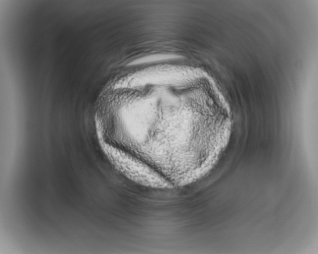 X0000115160375200911241554