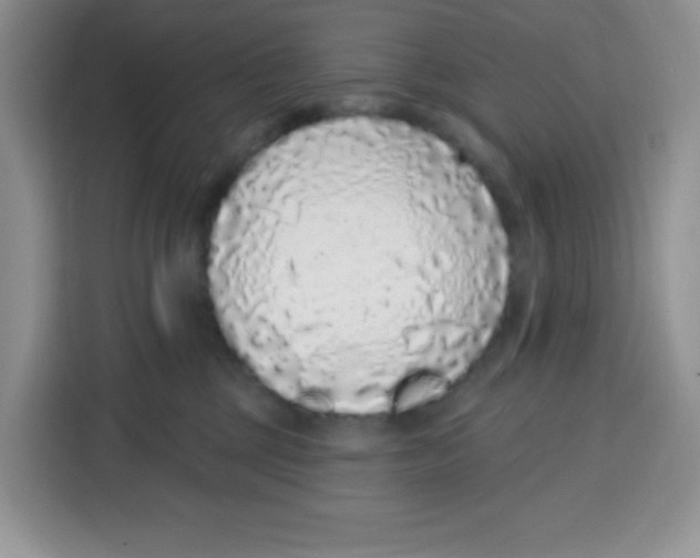 X0000115160377200911241554