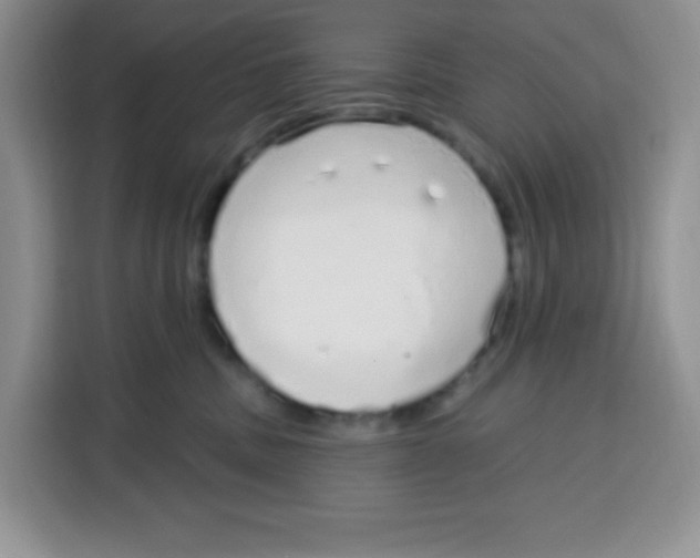 X0000115160379200911241554