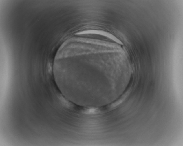 X0000115160382200911241554