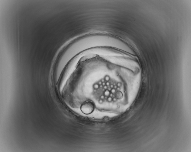 X0000115160388200911241553