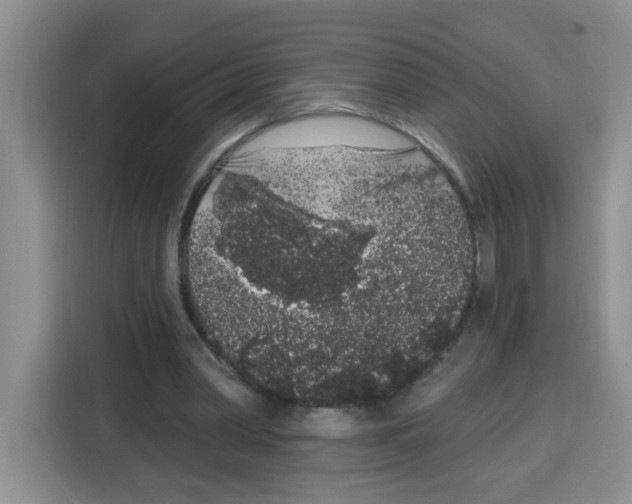 X0000115160390200911241553