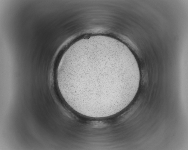 X0000115160392200911241553