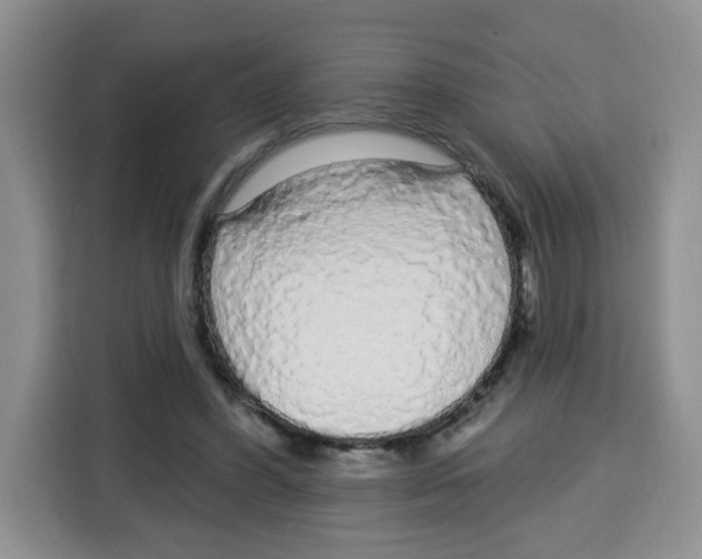 X0000115160396200911241553