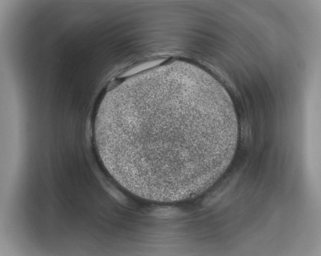 X0000115160397200911241553