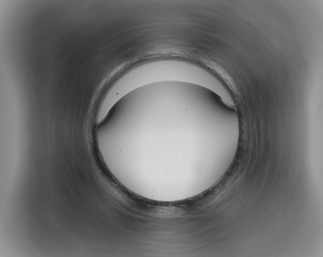 X0000115160399200911241553