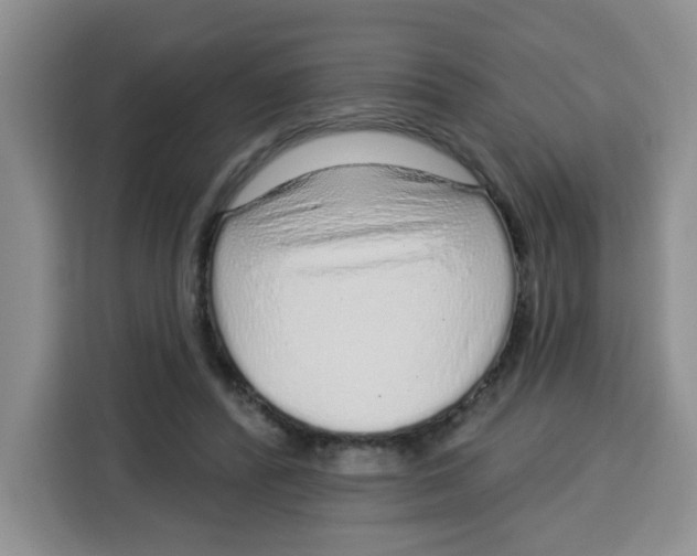 X0000115160400200911241553