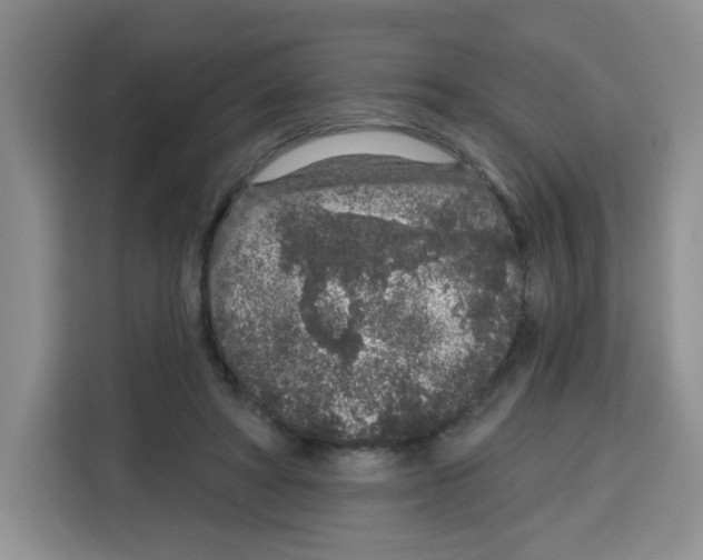 X0000115160402200911241553