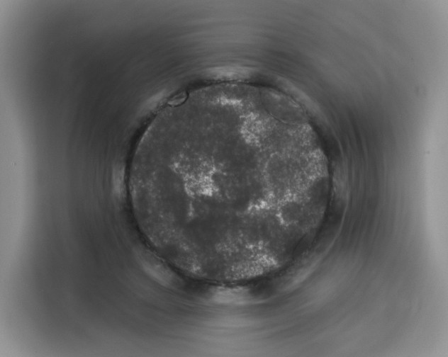 X0000115160403200911241553