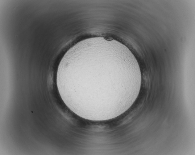 X0000115160404200911241553