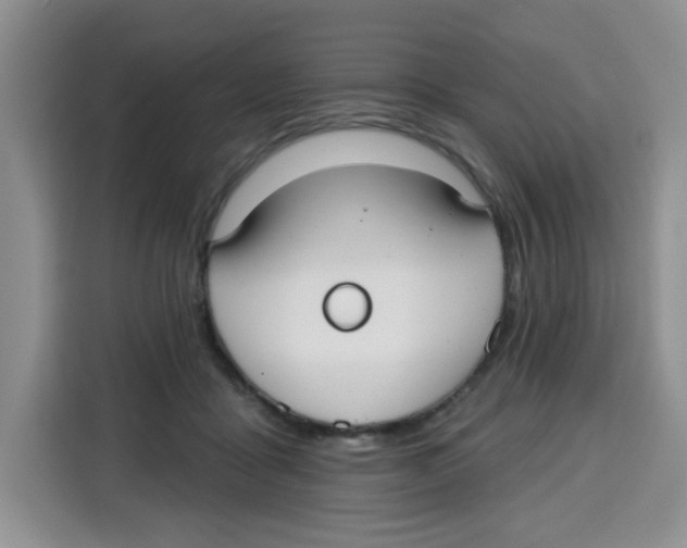 X0000115160411200911241553