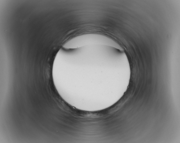 X0000115160413200911241553