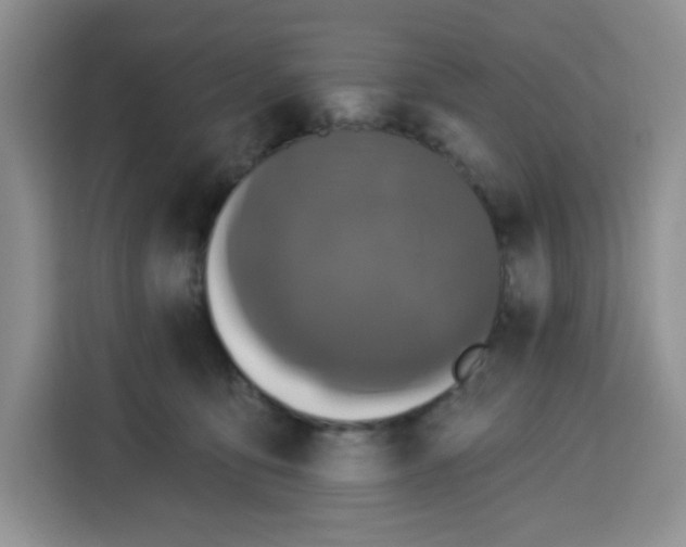 X0000115160419200911241553