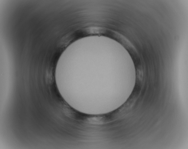 X0000115160422200911241553