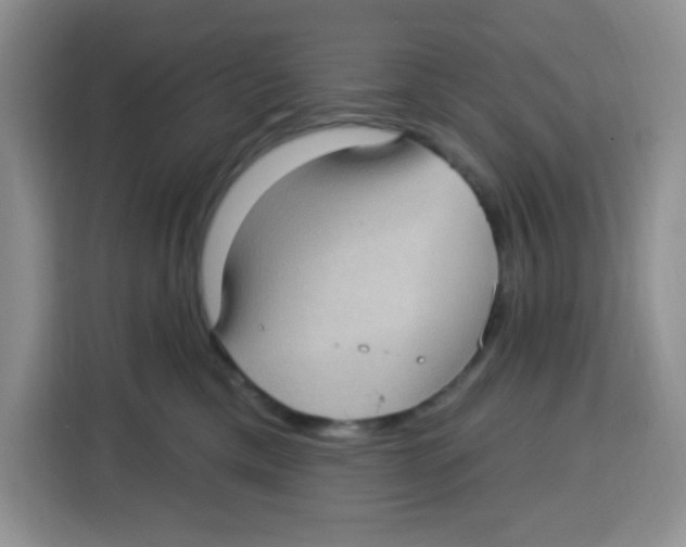 X0000115160425200911241553