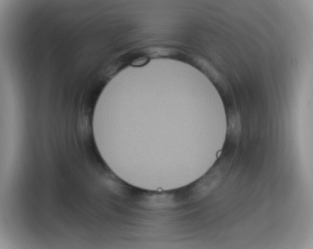 X0000115160426200911241553