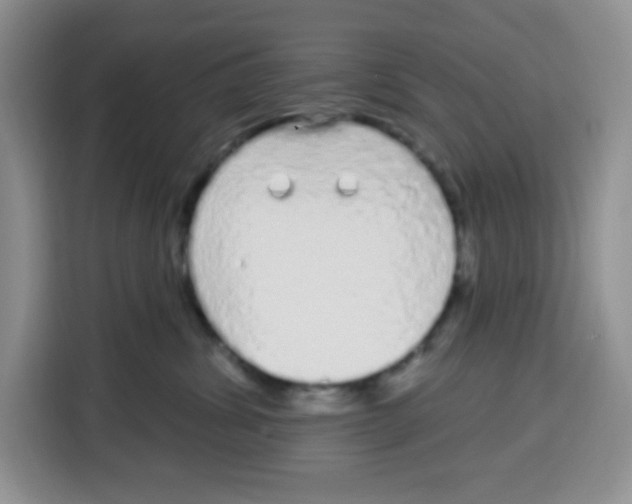 X0000115160428200911241553