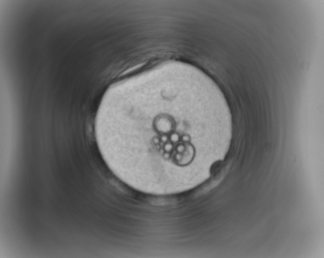 X0000115160432200911241553