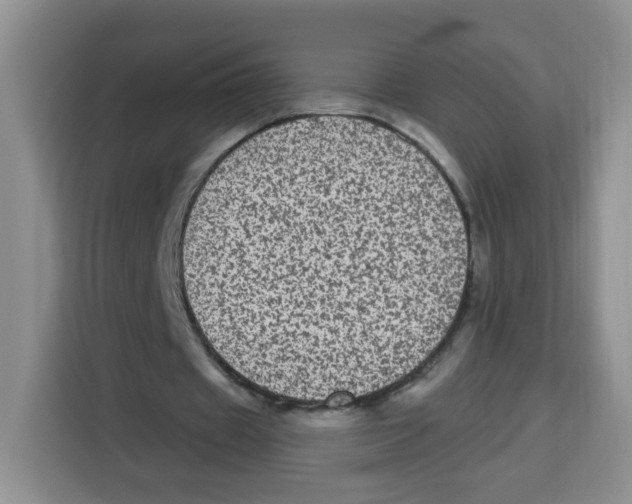 X0000115160433200911241552