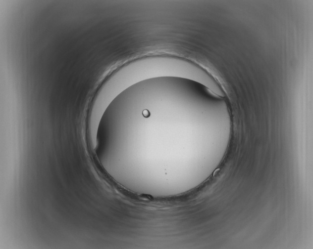 X0000115160434200911241552