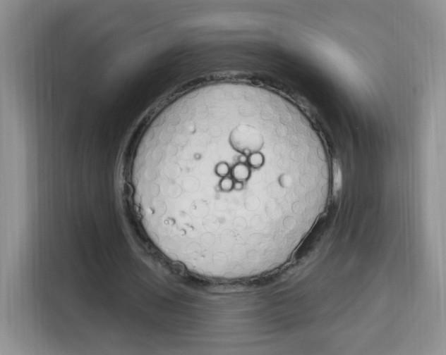 X0000115160435200911241552