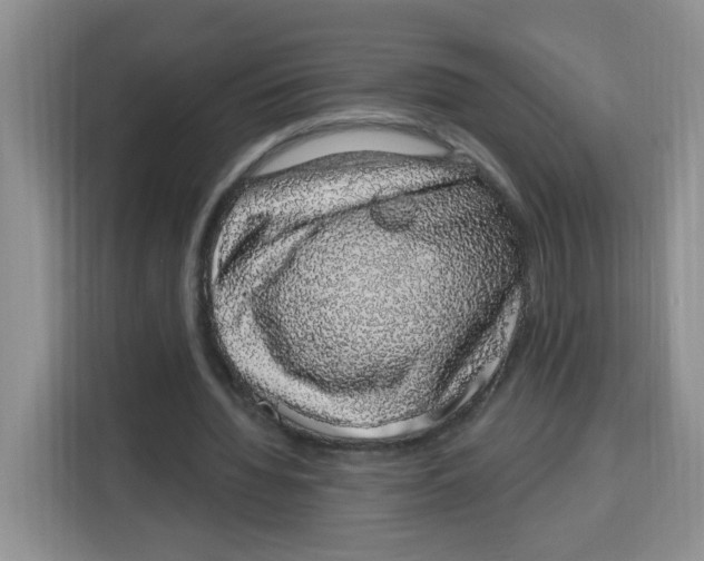 X0000115160436200911241552