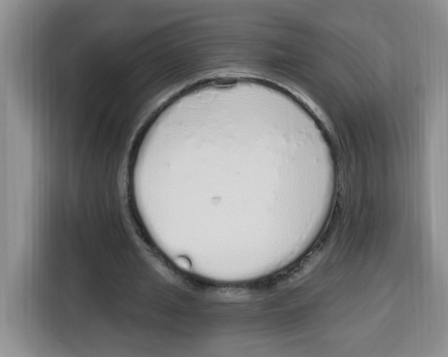 X0000115160437200911241552