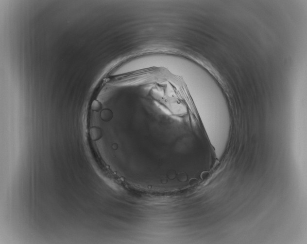 X0000115160438200911241552