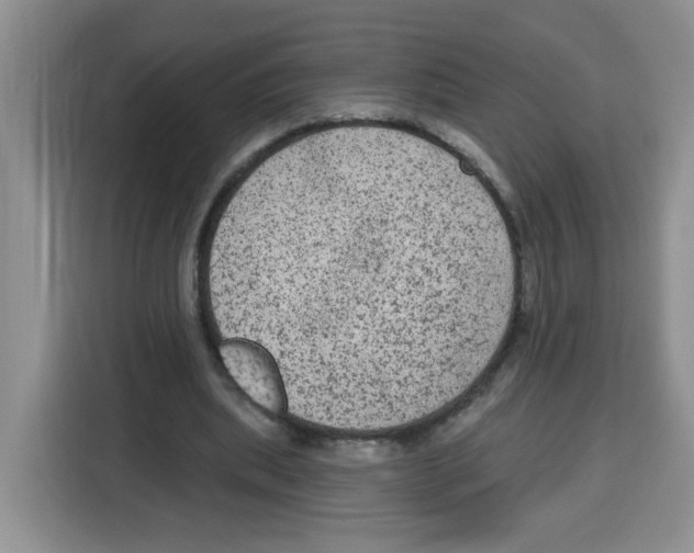 X0000115160439200911241552