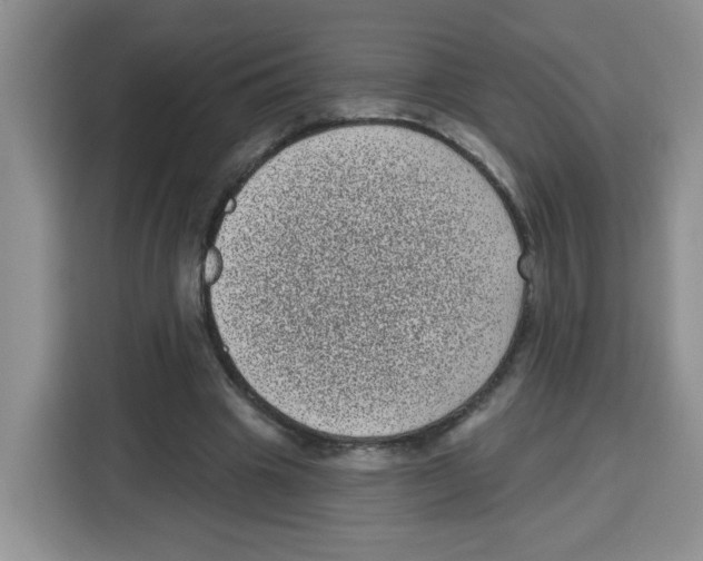 X0000115160441200911241552