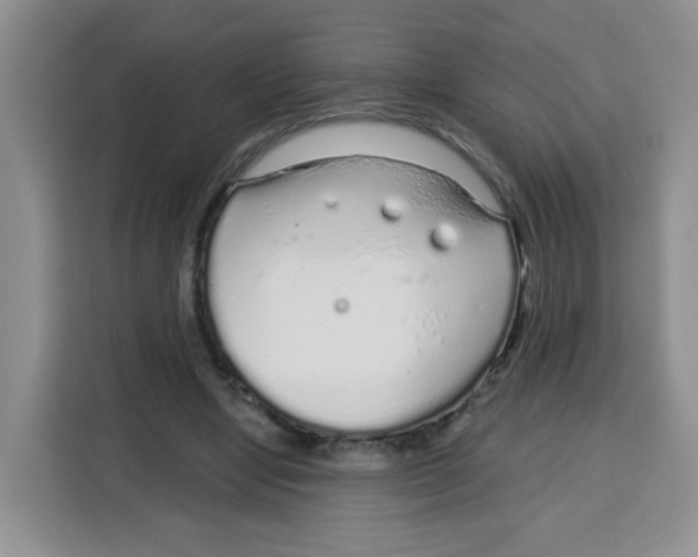 X0000115160442200911241552