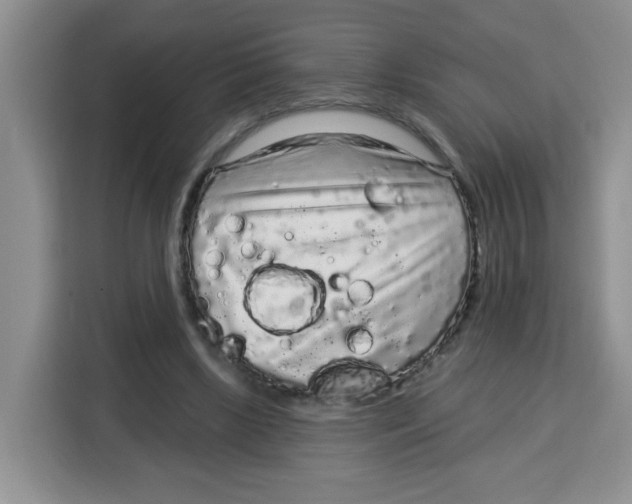 X0000115160443200911241552