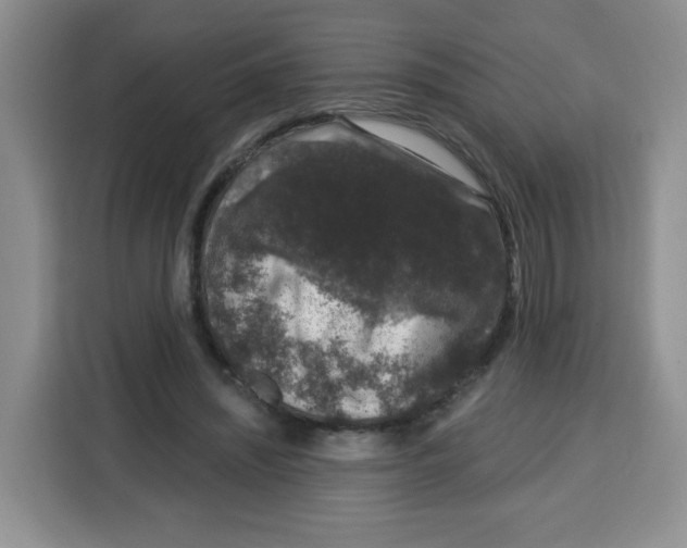 X0000115160444200911241552