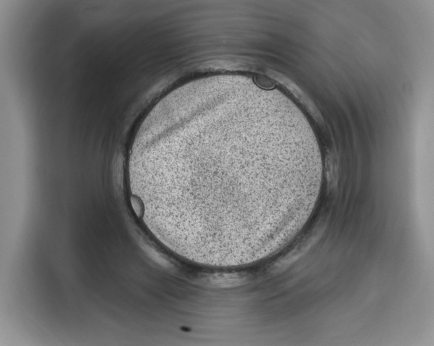 X0000115160445200911241552