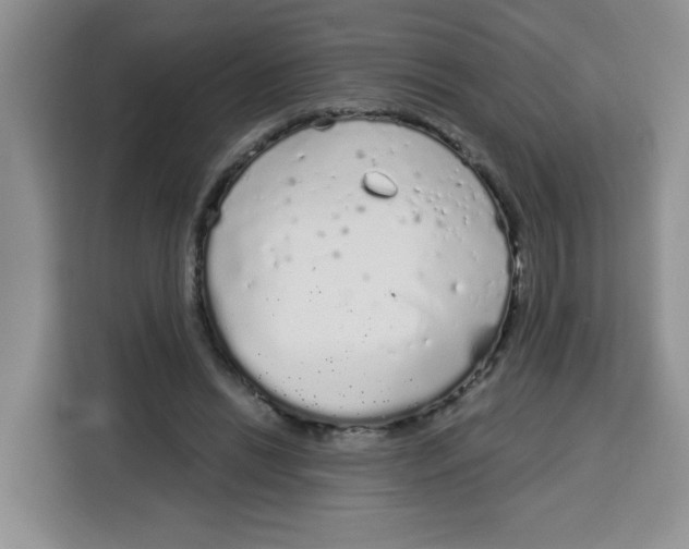 X0000115160446200911241552