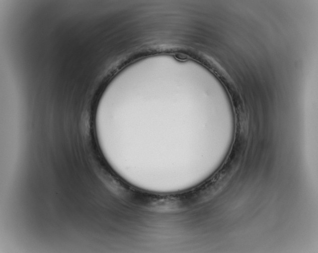 X0000115160447200911241552