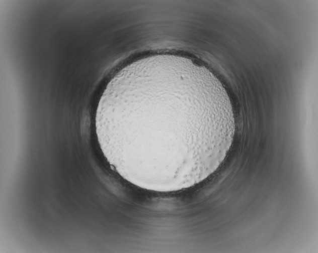 X0000115160448200911241552