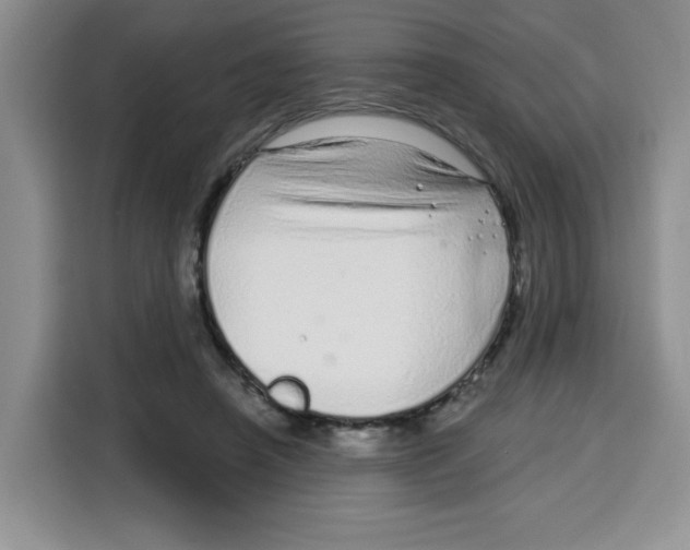 X0000115160450200911241552