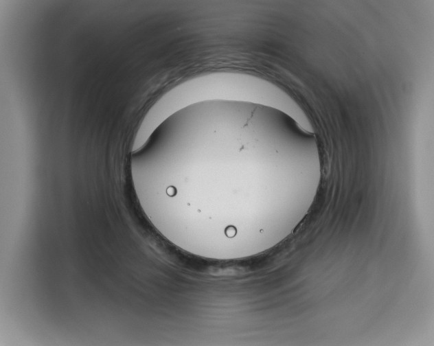 X0000115160452200911241552