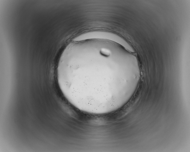 X0000115160454200911241552