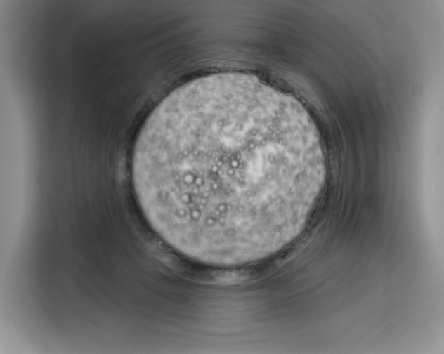 X0000115160457200911241552