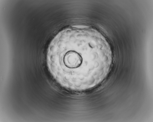 X0000115160459200911241552