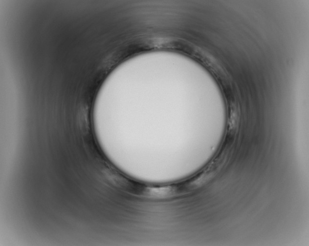 X0000115160461200911241552