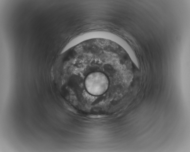 X0000115160465200911241552