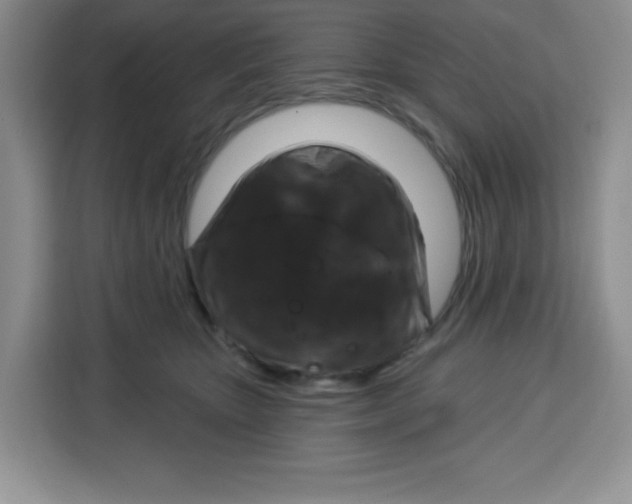 X0000115160467200911241552